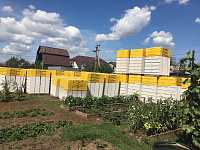 Газобетон КОТТЕДЖ D600 В3.5 625х300х250